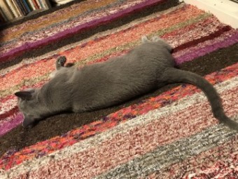 IMG_1175 IMG_1175-e1539506087225